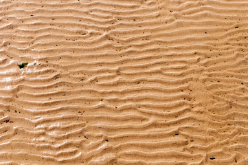 Texture of sandy beach