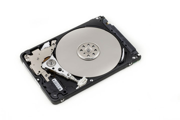 Hard disk 2.5 Inch isolated on white background