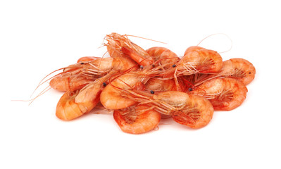 shrimp