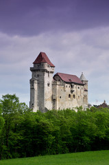 Fototapeta na wymiar Castle Lichtenstein