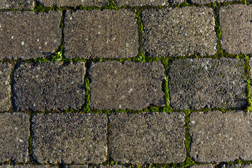 Stone pathway texture