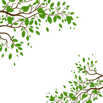Vector Illustration of a Nature Background with Green Leaves
