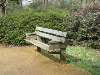 Empty park bench