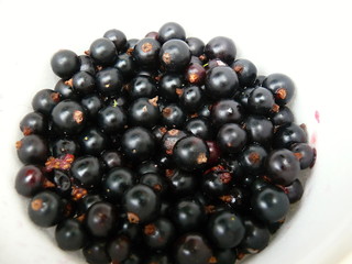Bunch of black currant