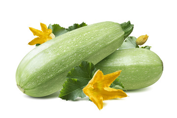 Zucchini squash flower leaves isolated on white background as package design element