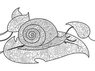 Snail coloring book for adults vector