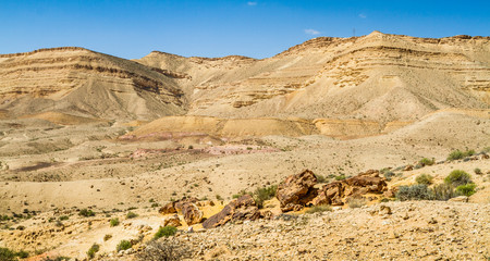 Negev desert in the early spring, Israel