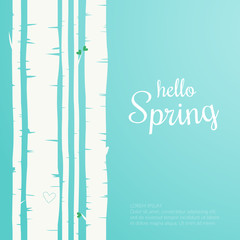 Hello spring lettering. Spring birch forest background. Colorful template greeting card