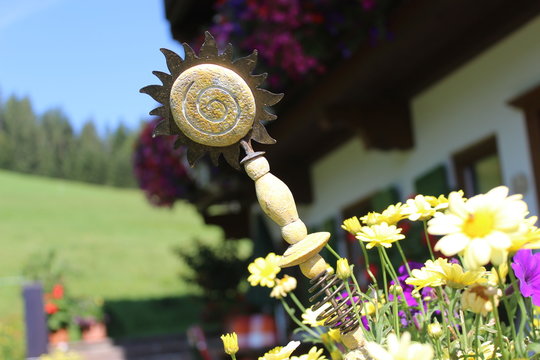 Blumen in Beet auf Terrasse