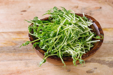 Bowl of pea sprouts