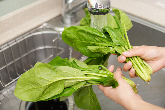 野菜を洗う女性 