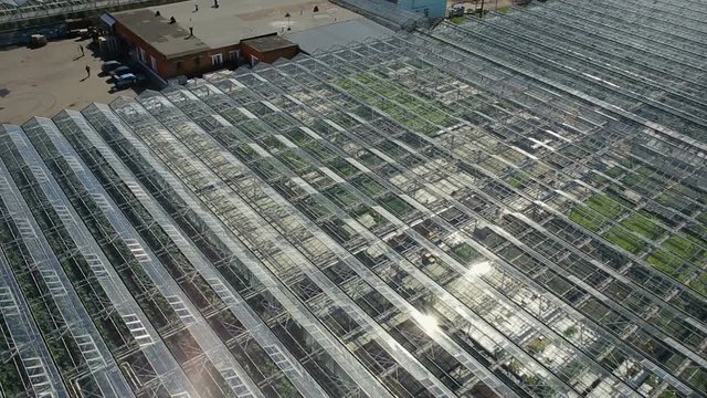 agricultural industry greenhouse