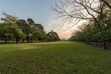 Fototapeta na wymiar beautiful landscape in part with green grass field at morning light