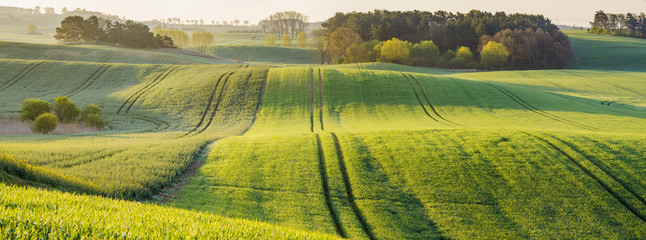 Tuscany landscape