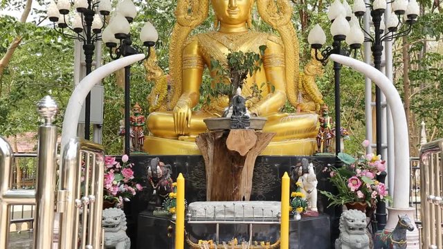 Buddha statue in temple Thailand