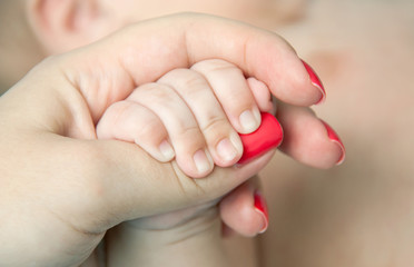 Fototapeta na wymiar New born baby hand