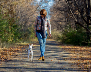 Fototapeta premium woman walking with a dog