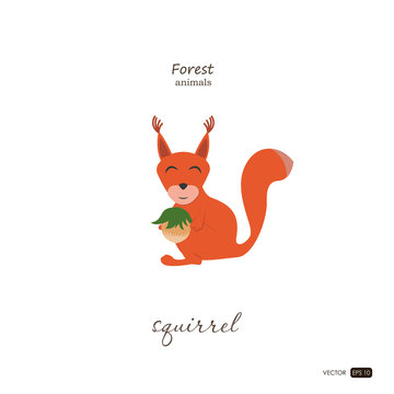 Squirrel in cartoon style on white background. Forest animals