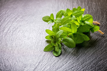 beautiful bunch fresh green lemon melissa officinalis tied twine