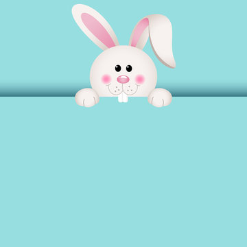 Cute bunny peeking out
