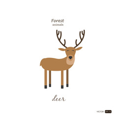 Deer in cartoon style on white background. Forest animals