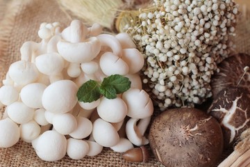 Mushrooms and vegetables on wood background.