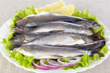 Lightly salted grayling on a white plate