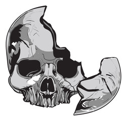human skull Biology - vector