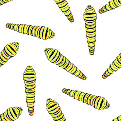 Seamless caterpillar isolated