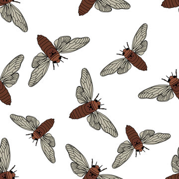 Seamless pattern with cicada . Cicadidae. Chremistica umbrosa.     hand-drawn cicada . Vector