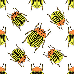 Seamless pattern with colorado potato beetle. Leptinotarsa decemlineata.  colorado beetle. Vector