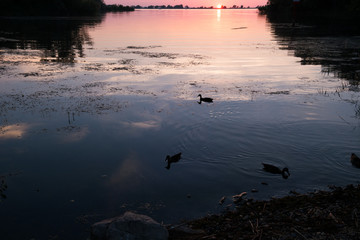 Bodensee am Abend