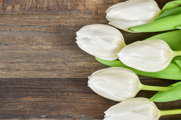 Top view of  a border of white tulips on wooden background.