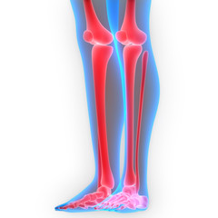 Human Body Bone Joint Pains 
