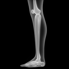 Human Body Bone Joint Pains 