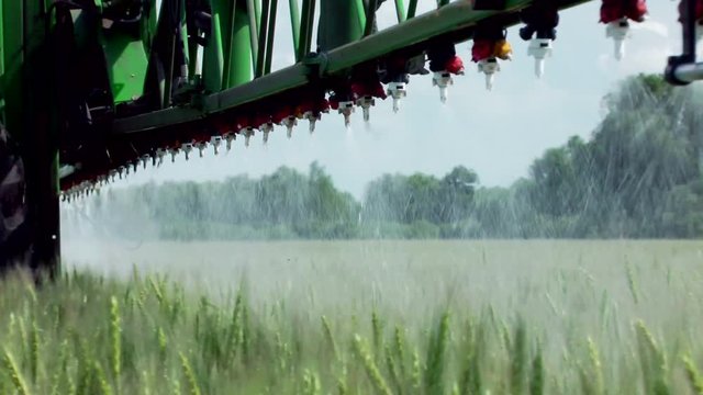 Treatment of cereals against pests, insects and plant diseases