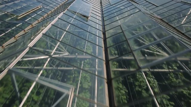 Ventilation of greenhouses