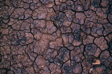 Soil drought, cracks in dry land
