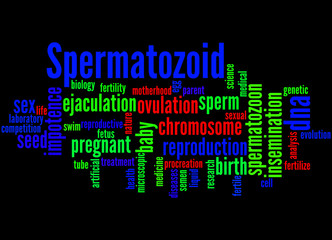 Spermatozoid, word cloud concept