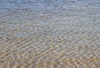 Baltic sea water.