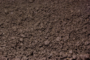 Fresh soil as background