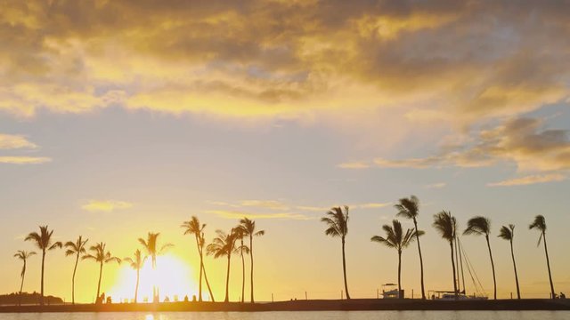 Beach sunset or sunrise with tropical palm trees. Summer travel holidays vacation getaway colorful concept photo from sea ocean water at Big Island, Hawaii, USA. RED EPIC