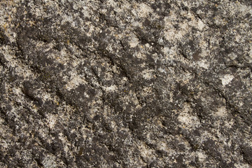 Shot of cement wall - a asphalt texture