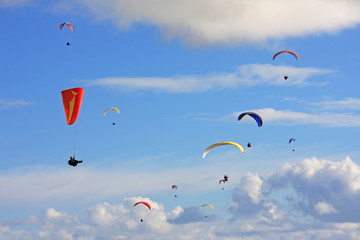 Paragliders