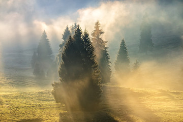 fog on hot sunrise in mountains