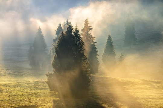 Fototapeta fog on hot sunrise in mountains