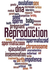 Obraz premium Reproduction, word cloud concept 9