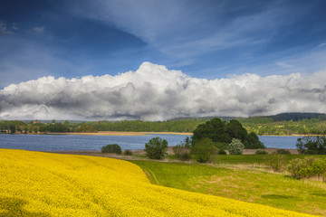 Mazury-kwitnienie rzepaku © Janusz Lipiński