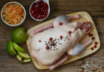 Fresh raw whole duck ready for cooking with apples, cranberries and cabbage. Top view
