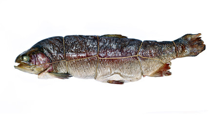 Hot smoked fish trout isolated